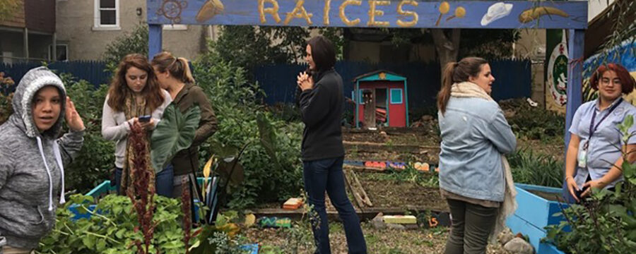 Students in a community garden